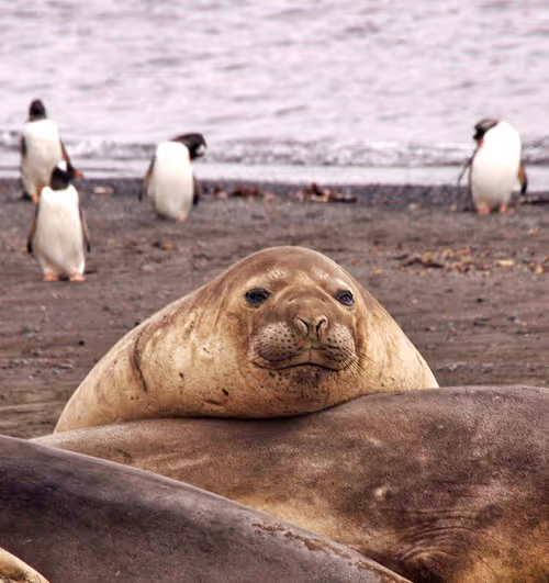 Item #30476745625997717818386350755648365756211951425805697730364000486628528226305 Media