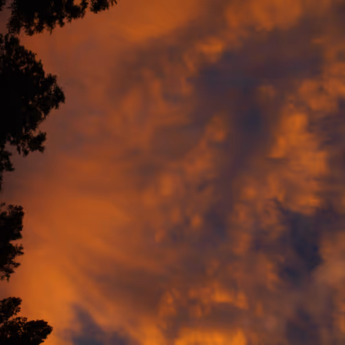 The Golden Hours