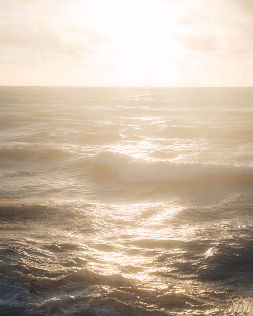 Item #66194589098145771714541131276235575166397887892718389200878874108087538548737 Media