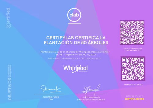 Item #82174489999726127748053989005133901530503286489307655945421605352660231258113 Media