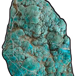 Turquoise ID 17