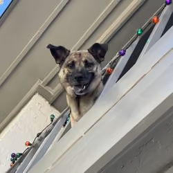 Silly human, eth is imaginary