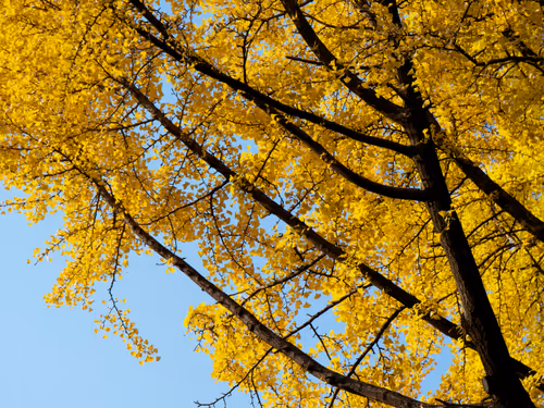 Item #15099377614674255729827518037484709840880486279639044345484425422523577925633 Media