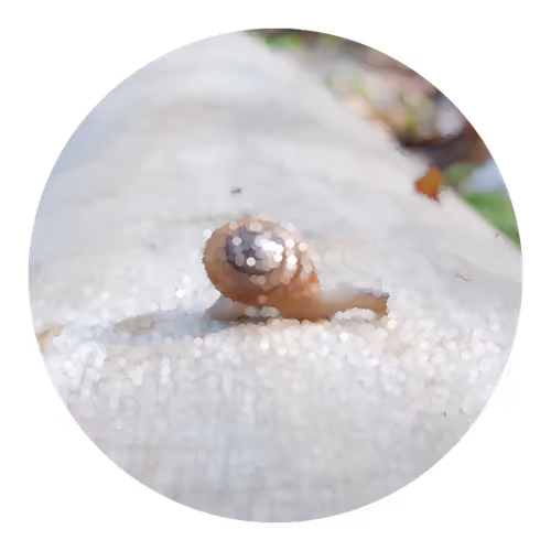 Item #73474911565276893363269127585336255498112534630235322163062143197498451165185 Media