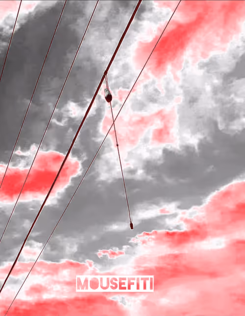 Item #42159712999449067907113964145691135009780602862476765281330278210904082350081 Media