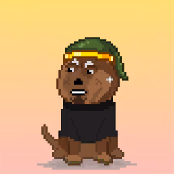 64767305565288697046245167911874832195581738374585436536649294035250617253889