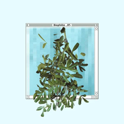 Item #44087291312462364763063482583825275420033843406697058838037173702120091680769 Media