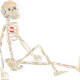 79009306092338673390971414454486078094209007420824354903114004227350771793921