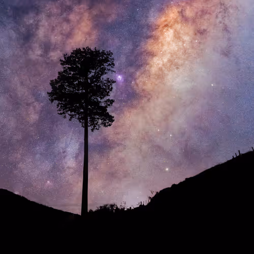 SJarman Collection - old V3