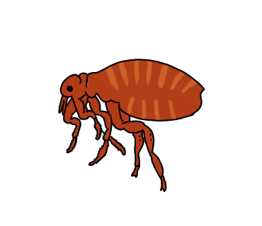 Item #45653737007051702166868604087473476661167283222562412513573621207685643894785 Media