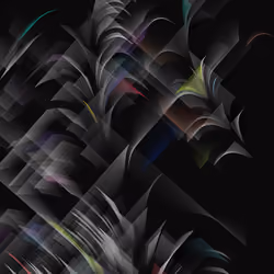 07