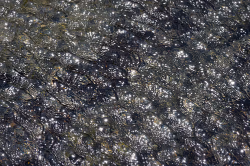 Item #81441334517361708208394031135700195474624799851237506988747108032667923251201 Media