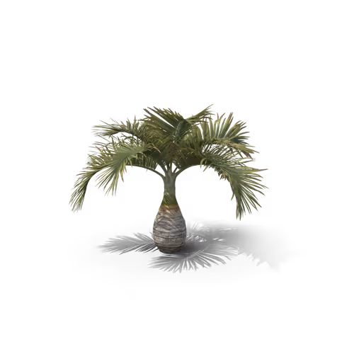 Item #36557224033069565400419298715916611442711242076290286007895566464649797828609 Media