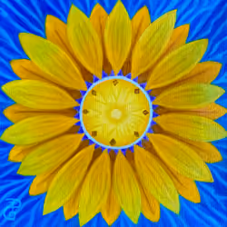 Pineapple Sunflower 