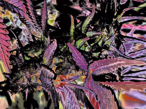 Item #83970981387443879143921485150900069530799783516997234463864977571071192465409 Media