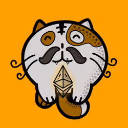 TranfromCat Original #002