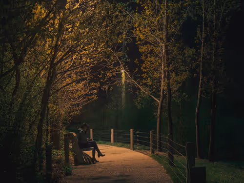 Item #20227266665588933887433646525944193582214398073362210482920990828248703172609 Media