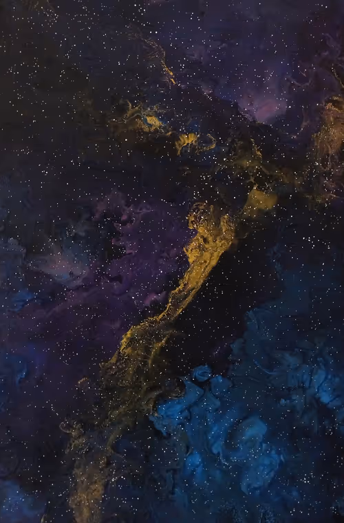 Item #193510912639703180178859119529626067071204281860045261196368110234965639171 Media