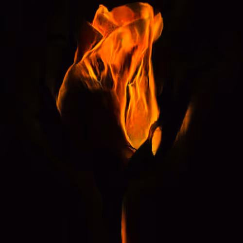 46935663379106642088571545476757153786473481129897181517748081471236008312833