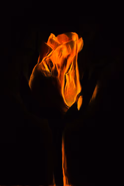 Item #46935663379106642088571545476757153786473481129897181517748081471236008312833 Media