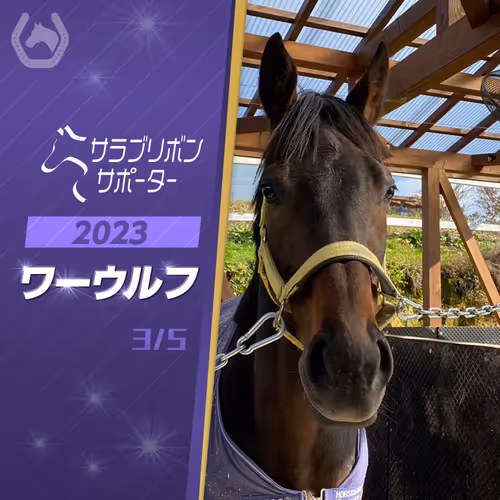 Item #32261650021671989586304276228843745151688097955636395340171962807238143246337 Media