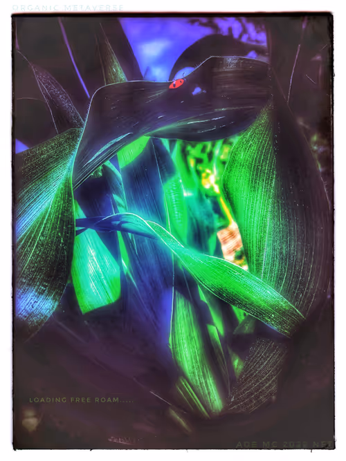 Item #3787080761074609709675817509753112159059746763483256848434353545701780094981 Media