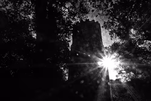 Item #40160686583094733528677484039903516258611509642019211679321071485857491320833 Media