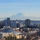 CitySlicking With a View