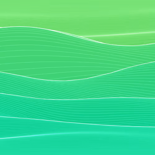 Fluctuation 1528