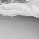 1648744978954797038450479667821951887205602757138389538900718098894012022785
