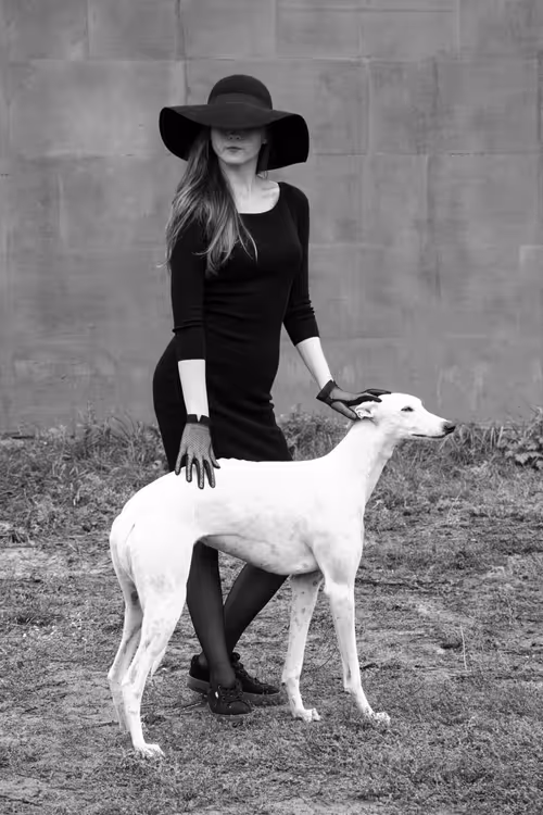 Item #74661804639461098708131462223609063755981185112722833040679211577987643211777 Media