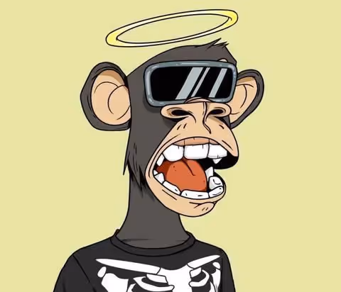 Untitled Collection #279460050