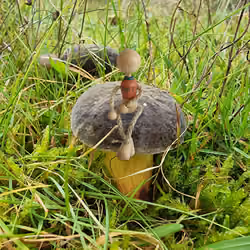 NFT in the Wild #27 - Nov 2021