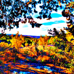 #93 Evocative Views
