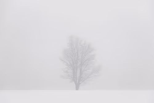 Item #82038507178112004707132471695972498506825775528903589266831690695262529912833 Media