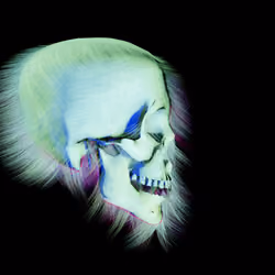 SKULL MOODS v.7 HAIR #7