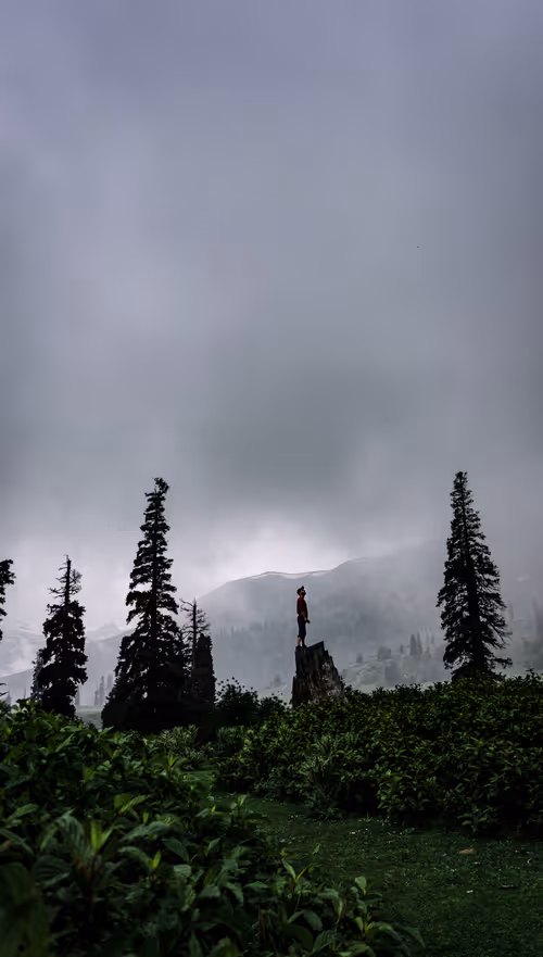 Item #106096322599603620341222276342369033024048943291878962669270680810415418507265 Media