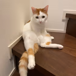 57432309319676179700798702069366385585354272226932054472084541890257846534145