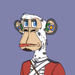 79588557743407667960402486480794634390471185787199035383125781067346802114561