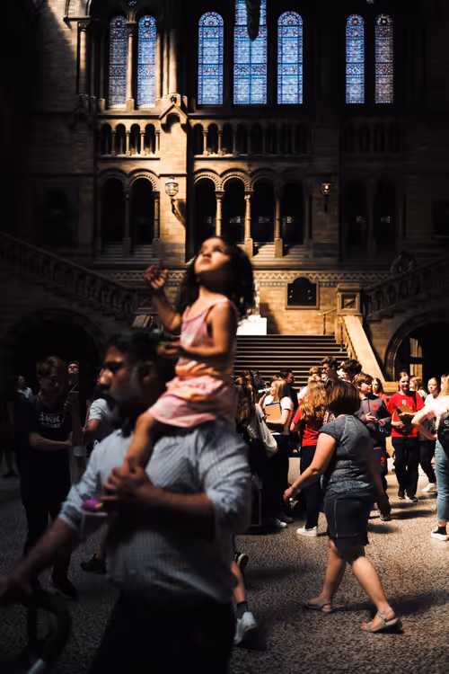 Item #67107135143472887362727960782198863694604649880733447117540637385747135987713 Media