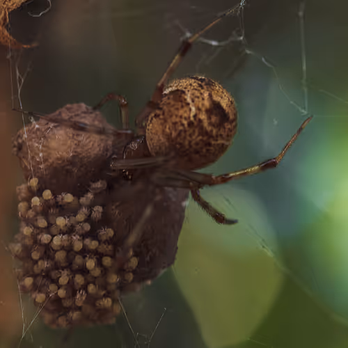 105090597216655980557633683149084672751347825439893935605656298050706678480897