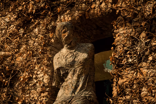 Item #1448819722811812157553440872911488319417736624981688873626406755095835312129 Media