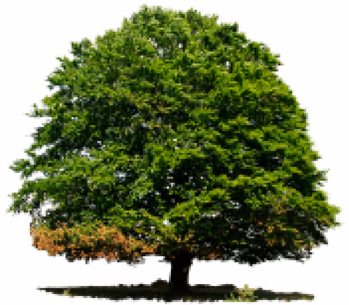 Item #105603725609947989499044129472074064723412167009068320432332286924027963899905 Media