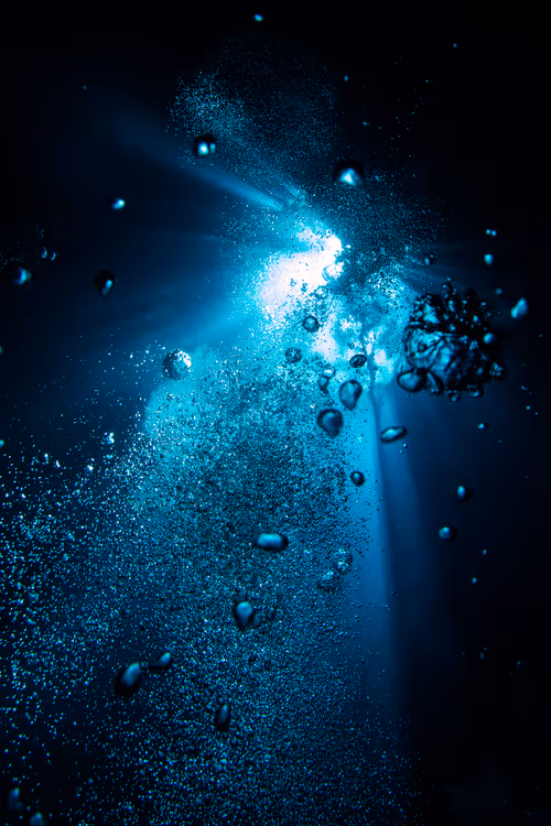 Item #25422583313571458459737529461820134862175223810011730482418987903552304709633 Media