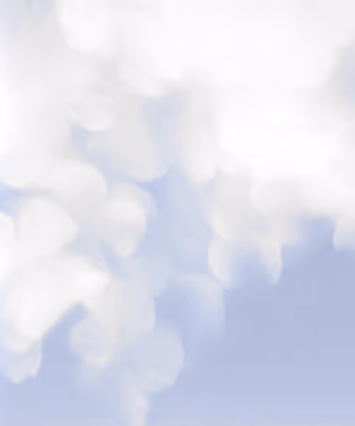 Item #66412083877775050052255921183624814536266007620308041883263231608143986294785 Media