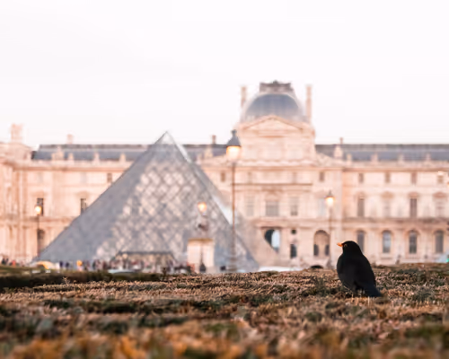 Item #71683760985595068246301461322896988147042200196231380794065449459139238428673 Media