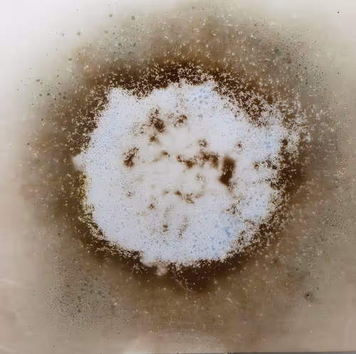 Item #111264774895172989553606282022194155892745764425417346937131400125646182023169 Media