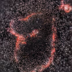 The Heart