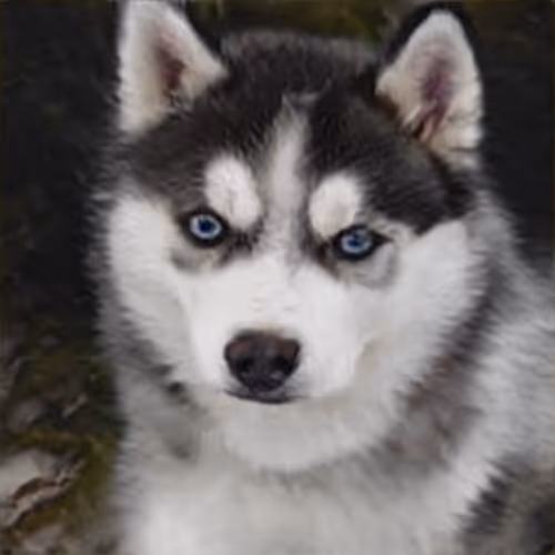 Item #55525875118330994482032925216761404736570211771565447267945268428992073957377 Media