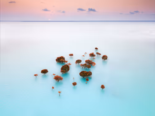 Item #54498339750312629147900213793127286863305084837877265024526474298476218810369 Media